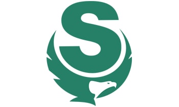 Custom Logo Design