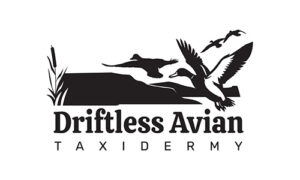 driftless-avian