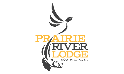 Company Logo Design